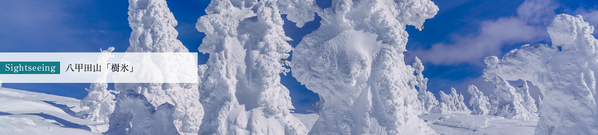 八甲田山「樹氷」