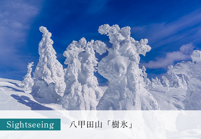 八甲田山「樹氷」