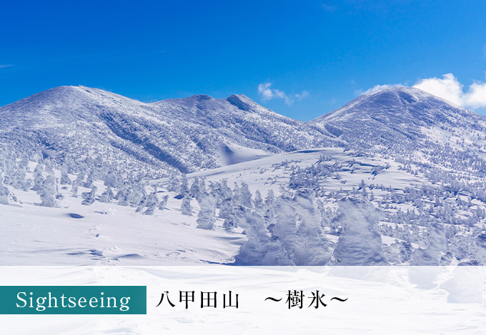 冬の八甲田山～樹氷～