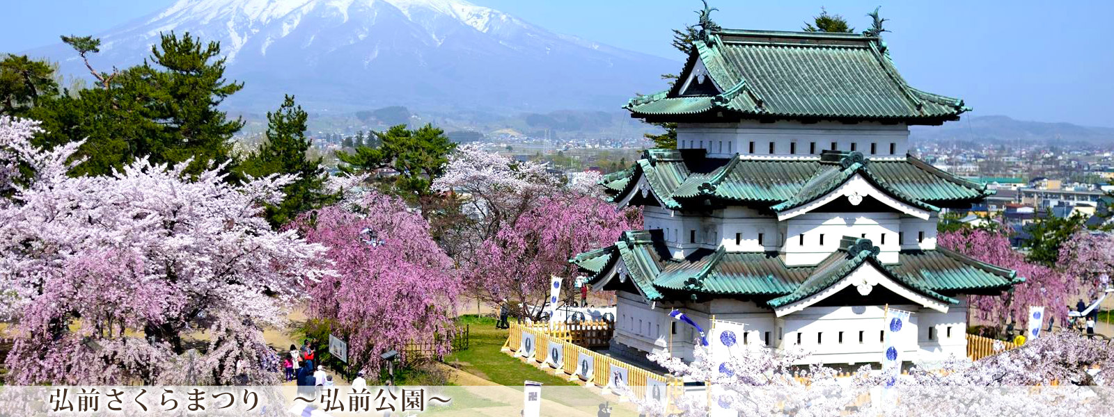 春の弘前公園～「弘前さくらまつり」4月21日～5月5日開催