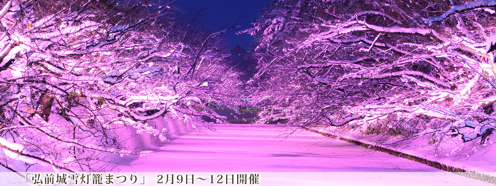 「弘前城雪灯籠まつり」 2月9日～12日開催