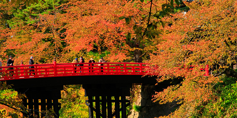 弘前城菊と紅葉まつり