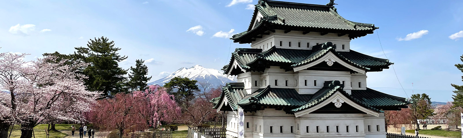 弘前城と桜・岩木山