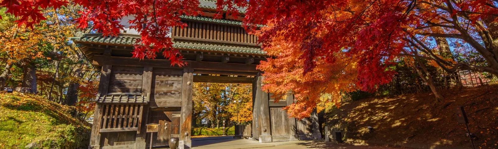 弘前公園・菊と紅葉まつり