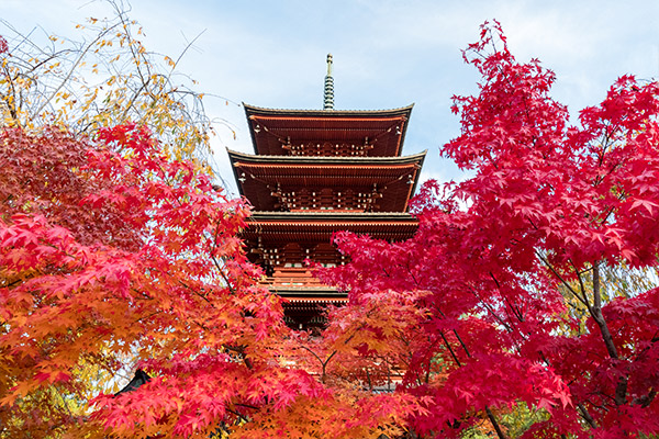 最勝院・五重塔（さいしょういん・ごじゅうのとう）