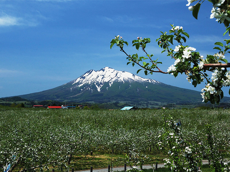 弘前りんご花まつり 周辺観光 アートホテル弘前シティ 公式 青森県弘前市弘前駅前のホテル