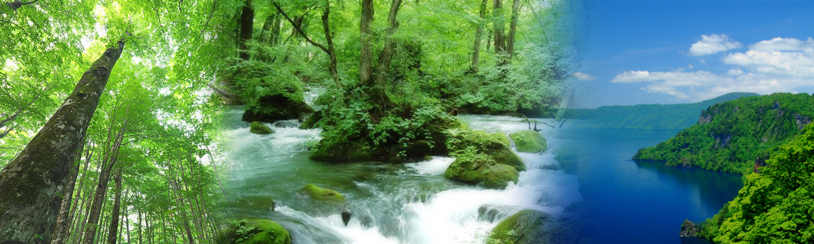 青森県宿泊キャンペーン「おでかけキャンペーン」